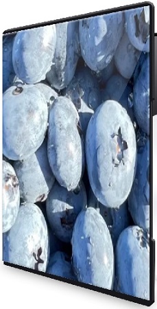 �������� �� ��������� ��� �������. ������ ��������� �� ����� ��������: �������� (2026) CAMRip