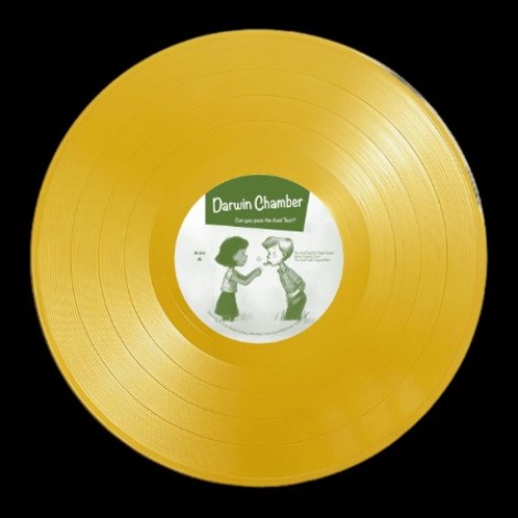 Darwin Chamber - Can You Pass The Acid Test? (2026) mp3