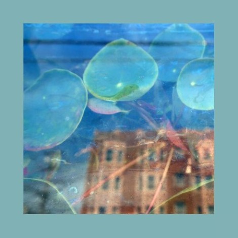 The Reds, Pinks and Purples, The Reds - Acknowledge Kindness (2026) mp3