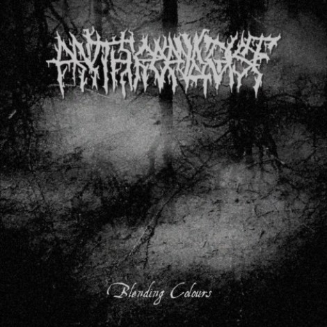 Anthropologist - Blending Colours (2026) flac