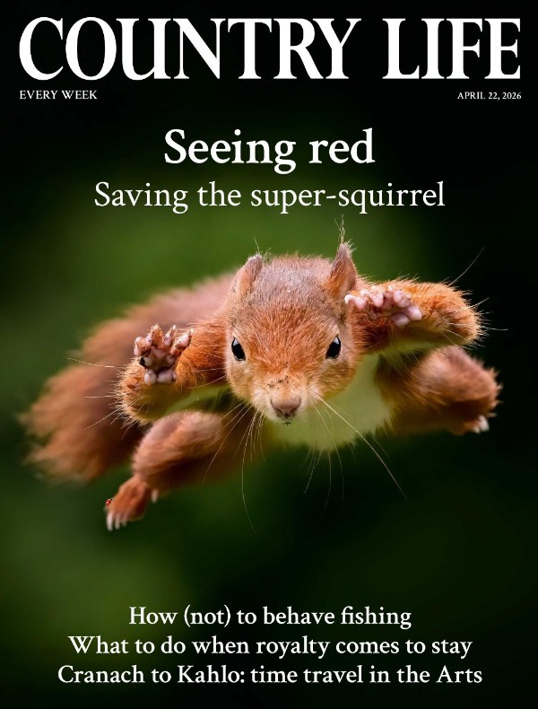 Country Life UK - 22 April 2026