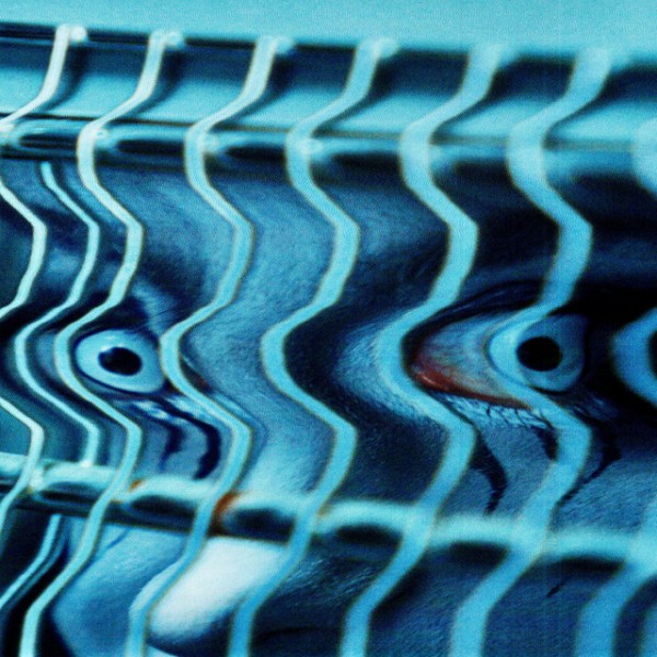 Hang Your Hate - Circle (Single) (2026)