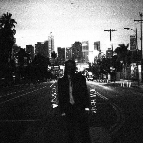 VA - Raw Honey (2026) mp3