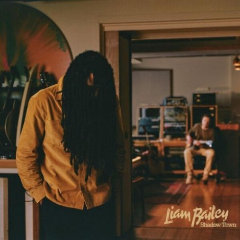 Liam Bailey - Shadow Town (2026) mp3