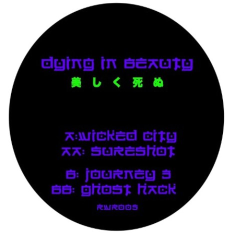 Dying in Beauty - Hellphaser (2026) mp3