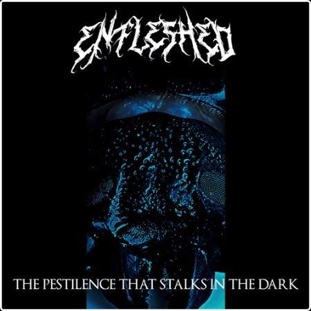 [Image: 0c1c2fbb575b6fd517bfd6e8387a1986.jpg]