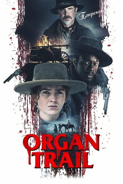 [Image: 0ed7ebebe1072715613d742f88bbe567.jpg]