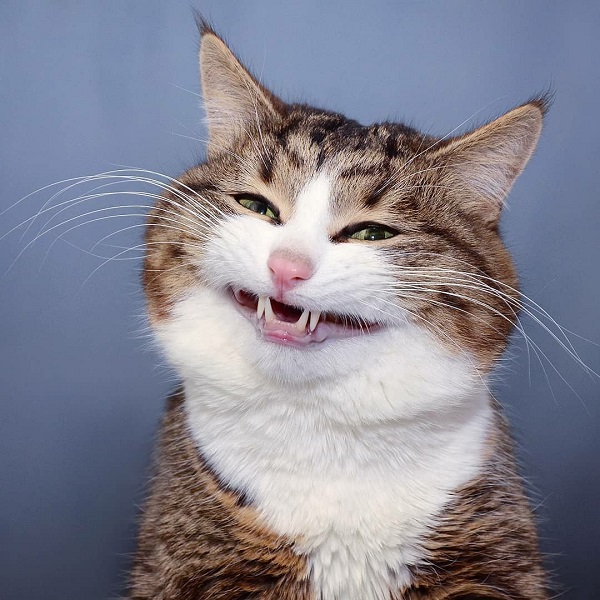 4400ba00e633cdc89322824d511a5c66.jpg