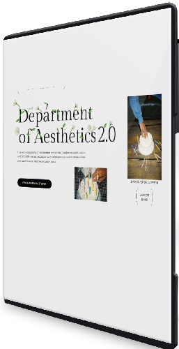 Полина Подплетенная, Лена Ленц - Department of Aesthetics 2.0 (Тариф Мастерски освоить) (2023) Видеокурс