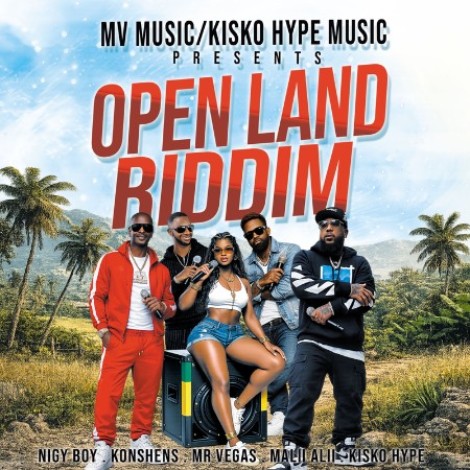VA - Open Land Riddim (2026) mp3