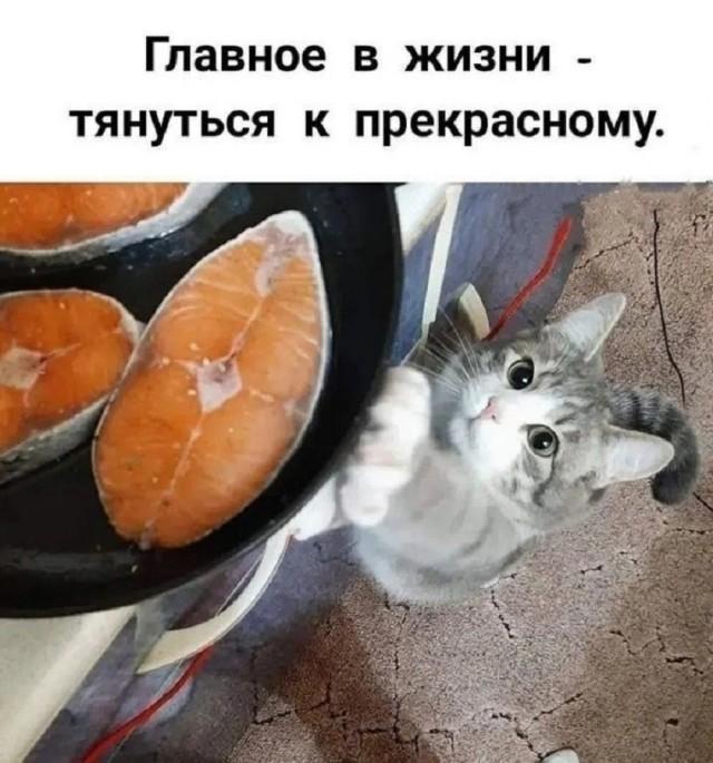 2b8c6a4c01014d8098dfd7a09cd7fb36.jpg