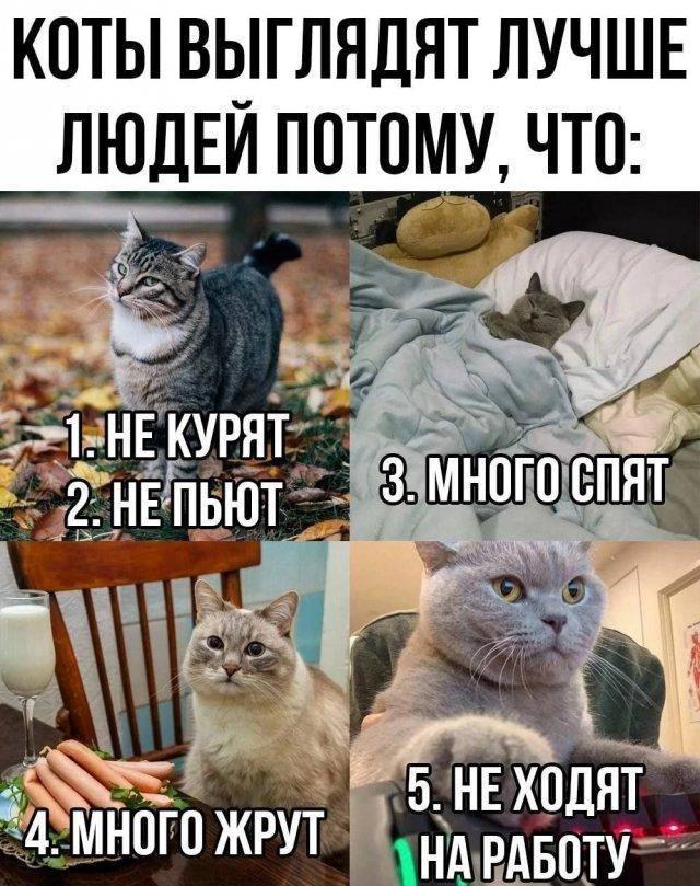 78165161ef5c60ee7196177c73caae3c.jpg