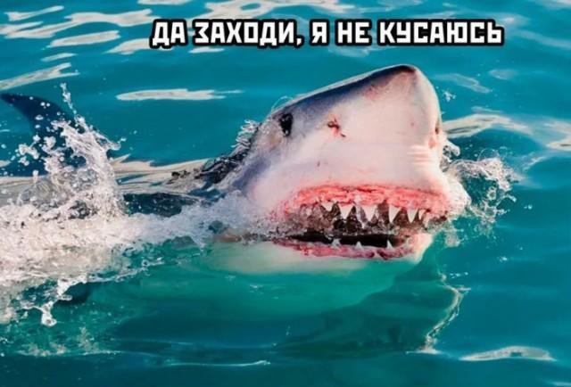 2159598c2076489f61f9bd808f0d7e9d.jpg