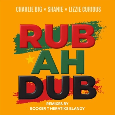 Charlie Big x Shanie x Lizzie Curious - Rub Ah Dub (Extended Remixes) (2026) mp3