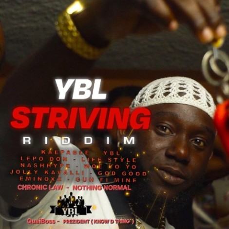 VA - Striving Riddim (2026) mp3