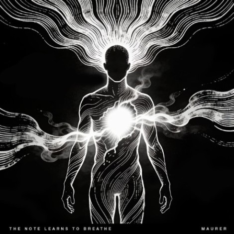 Maurer - The Note Learns To Breathe (2026) mp3
