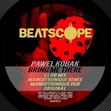 Pawel Kob - Bring Me There (2026) mp3