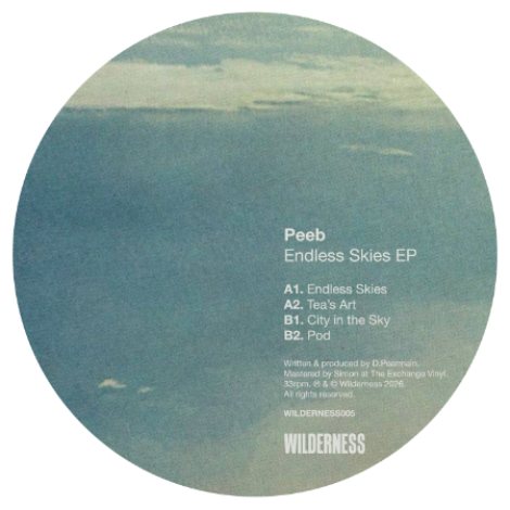Peeb - Endless Skies EP (2026) mp3