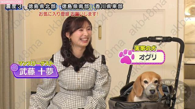 Webstream | 260502 Inu Jikan (Muto Tomu)