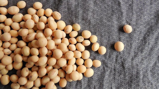 Експорт української сої у квітні 2026р скоротився на 18% – аналітики
