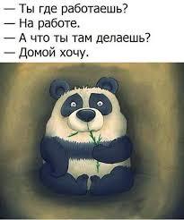 05a5a6c75e99634d333bf4f209a0ad7c.jpg