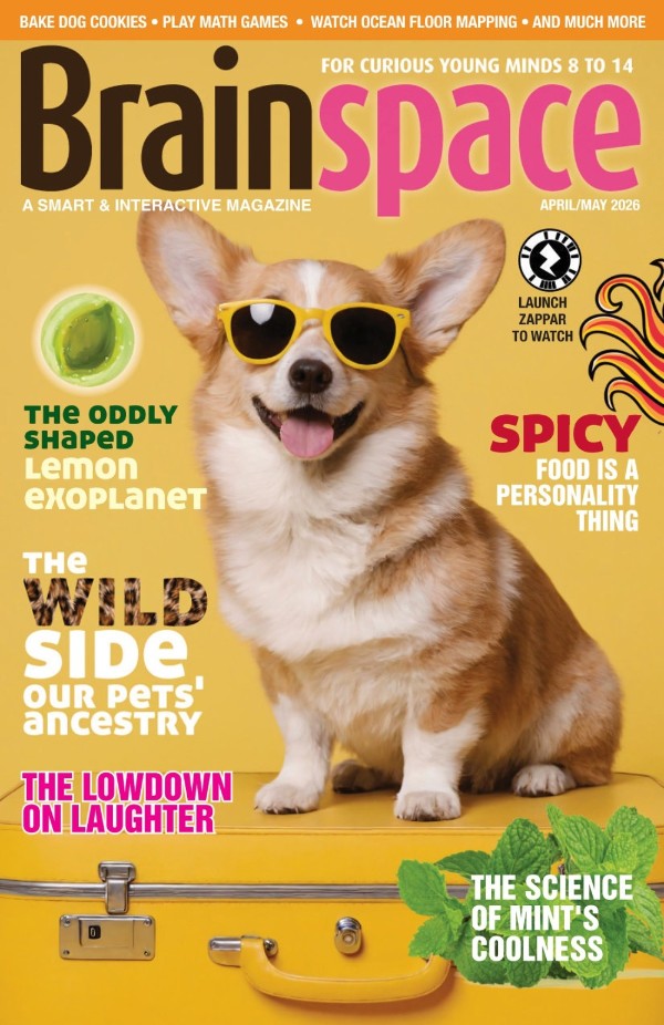 Brainspace - April/May 2026