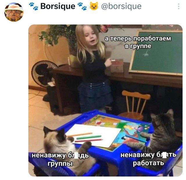 95e01638c5c0084db11435e70d8874f7.jpg