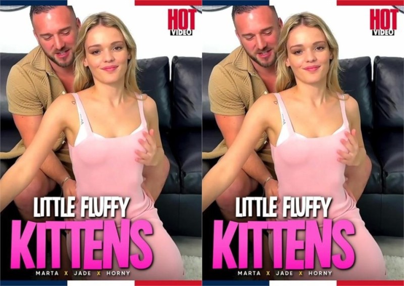 Little Fluffy Kittens / Petits Minous Lisses