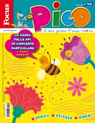 Focus Pico - Maggio 2026