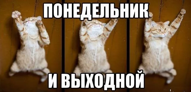 9057a09570f0a1299fe2a762dbfd0b2f.png