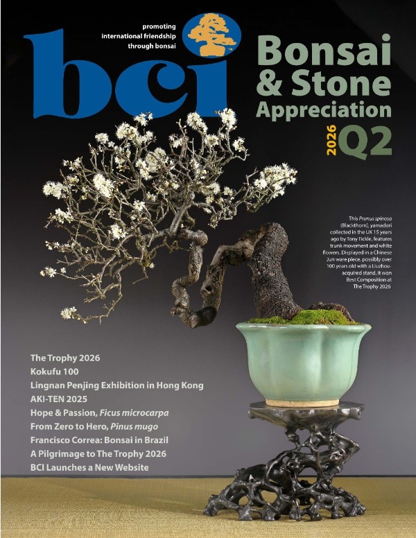 BCI Bonsai & Stone Appreciation Magazine - Q2 2026