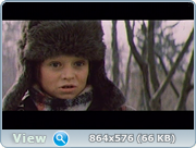 https//i127.fastpic.org/big/2026/0513/54/de80b409da779dac7bc8006b11ba54.png