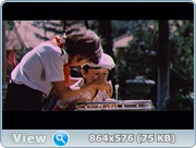 https//i127.fastpic.org/big/2026/0513/90/fec3237a79e6923a1290812bb9745e90.png