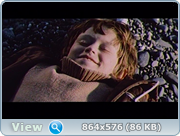 https//i127.fastpic.org/big/2026/0513/d1/33b05f319ac462914dbd2a211028d1.png