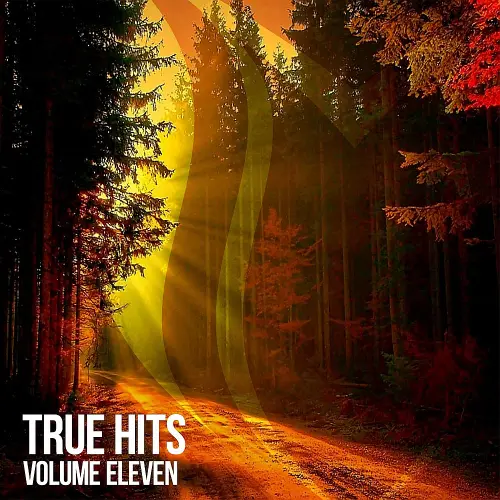 VA - True Hits Vol. 11 (2026)