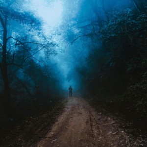 OHKAYA - Waiting Here (2026)