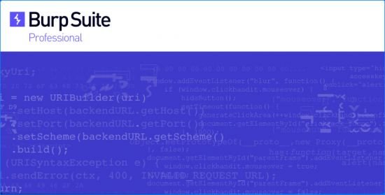 Burp Suite Professional 2026.4.3
