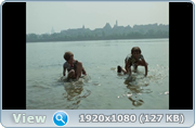 https//i127.fastpic.org/big/2026/0517/25/0d40ccb3f477361621560083774225.png