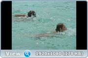 https//i127.fastpic.org/big/2026/0517/43/f6d0f8fe6ebed106720ba8bc150143.png