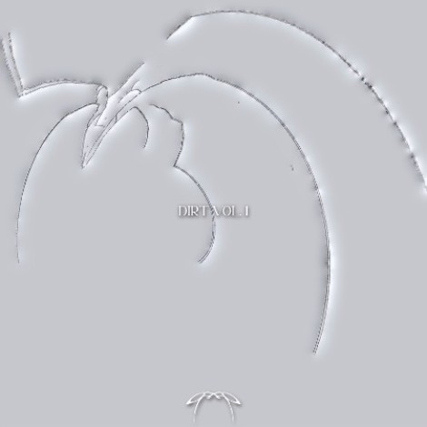 VA - Dirt Vol. 1 (2026) mp3
