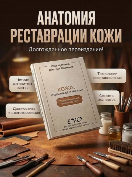 Кожа: анатомия реставрации