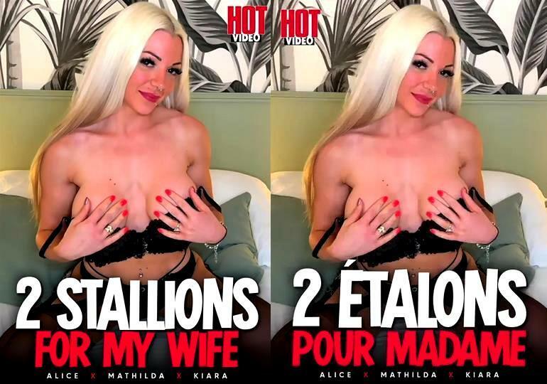 2 Etalons Pour Madame /