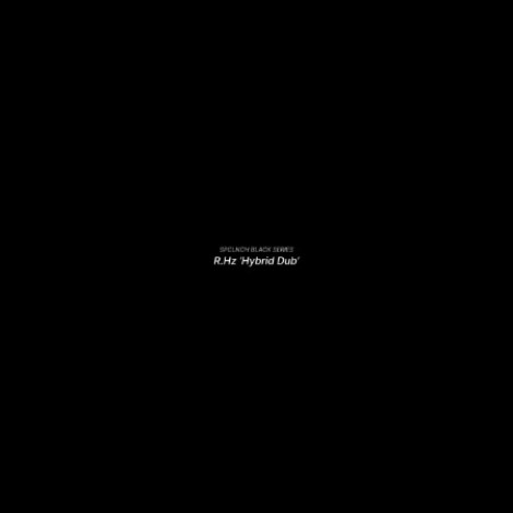 R.Hz - Hybrid Dub (2026) mp3