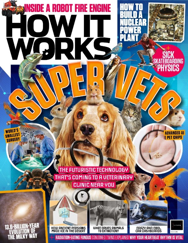 How It Works - Issue 216, 2026