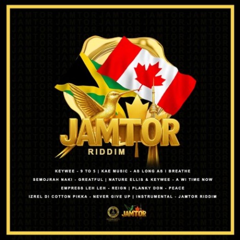 VA - Jamtor Riddim (2026) mp3