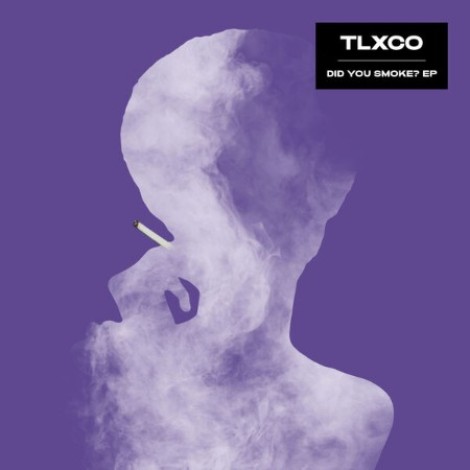 TLXCO - Did You Smoke? (2026) flac