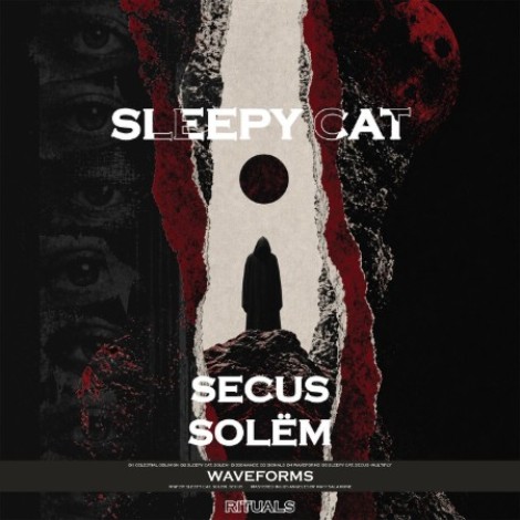 Sleepy Cat - Waveforms (2026) mp3