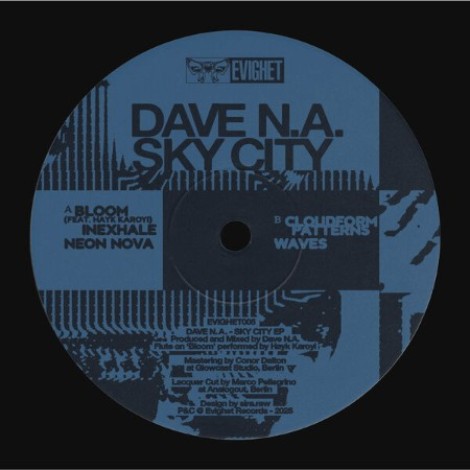 Dave N.A. ft Hayk Karoyi - Sky City (2026) mp3