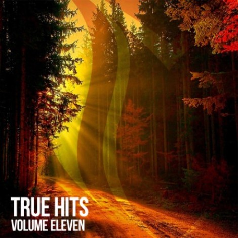 VA - True Hits Vol. 11 (2026) mp3