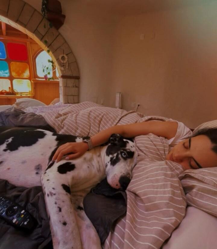 https://i127.fastpic.org/big/2026/0524/0a/e248fda8bd5e5cf3772f6f3ce566f40a.jpg